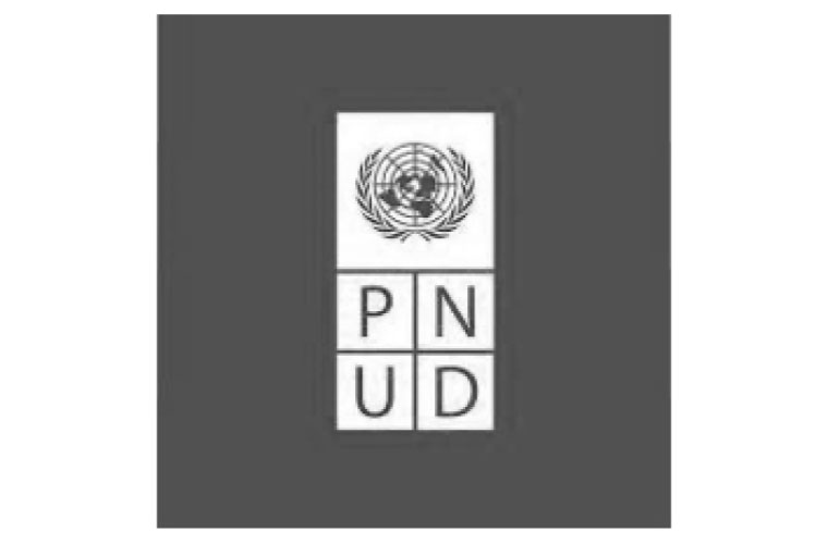pnud
